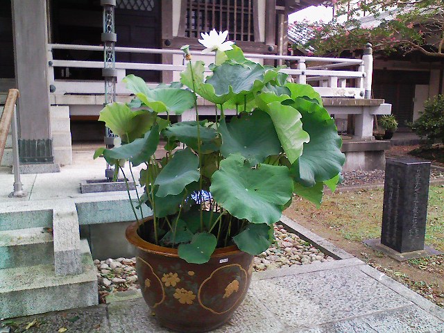 temple